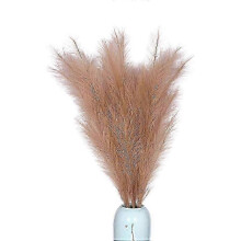 (Brown) 25-26 Large Artificial Pampas Grass - Tall Perfect for Home Decorations