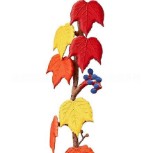 (A) Boston Ivy Leaf Fridge Magnet Elegant Greenery Decor for Refrigerator Cabinet Office Home Kitchen Decoration
