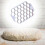 Cookie Cutter Biscuit Cutter Mooncake Filling Divider Kitchen Utensils Edition 0618 4