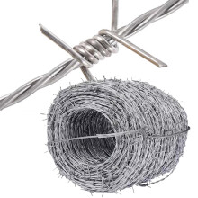 Stacheldraht Fence 4 Point Galvanized Wire for Crafts, Garden Safety, 50m
