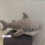 Ikea Blahaj Large Shark Plush 100 Cm Cuddly Toy 5