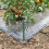 50Pcs Garden Ground Stakes Grass Proof Cloth Sunshade Net 4