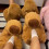 Capybara 3d Capybara Plush Caricature Cotton Slippers 35-44size 2