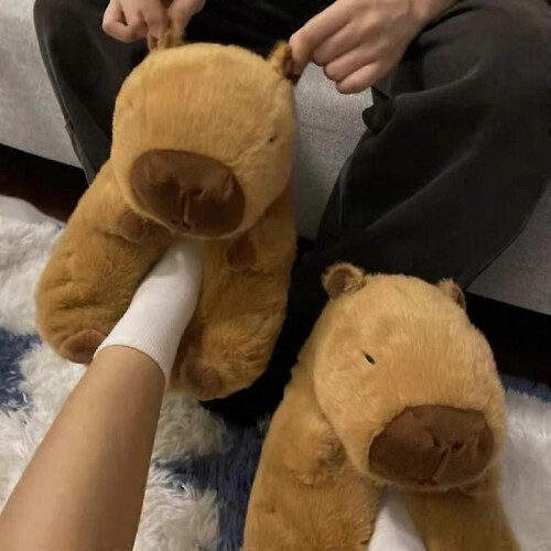 Capybara 3d Capybara Plush Caricature Cotton Slippers 35-44size 2