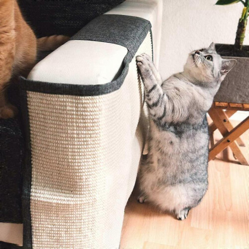 Scratching Mats 101 - 160 Cm 2