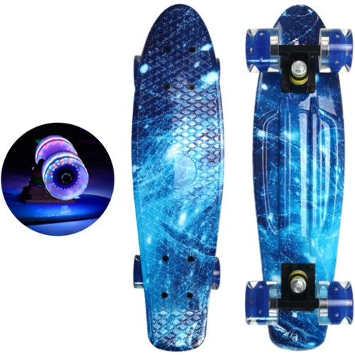 22' Skateboard Flashing Wheel Fish Skate Board blue Ref: 5730 2