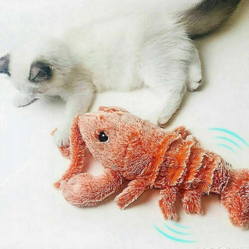 Interactive Toy for Cat Sklep-hm Animal Toy 1