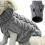 Sweater Grey Sweatshirt Warm Cat Dog Clothes for Winter Golf S 1