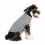 Sweater Grey Sweatshirt Warm Cat Dog Clothes for Winter Golf S 3