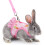 Adjustable Rabbits Harness with Leash for Rabbits-orange  M 7