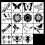 15Pcs Butterfly PET Drawing Templates for Craft Making Wall 1