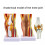 Human Knee Anatomy Model Teaching Model Human Knee Joint Model 6