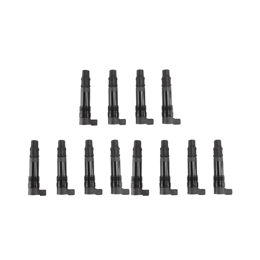 12X Ignition Coil 129700-3630 21171-0005 For -Kawasaki Zzr1400 Ninja Zx9r Zx-9R Zx12r Zx-12R Zx10r Zx12r 1998-2015 4712279872405