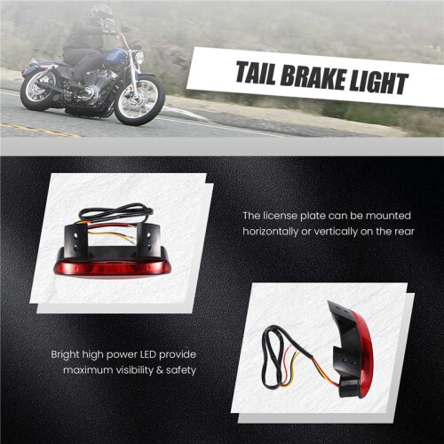 REAR  FOR  DAVIDSON SPORTSTER XL 883 Red 2