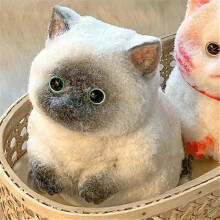 (Siamese kitten) 5 styles Chubby Cat Squishies Toys, Large Cat Squishies Squishy Toys
