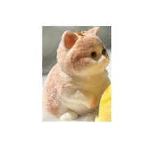 (crown Cat) 5 styles Chubby Cat Squishies Toys, Large Cat Squishies Squishy Toys