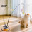 Baguette de taquinerie pour chats, jouet d'interaction avec 2