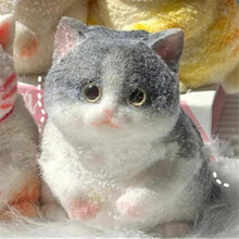 (Short Cat) 5 styles Chubby Cat Squishies Toys, Large Cat Squishies Squishy Toys