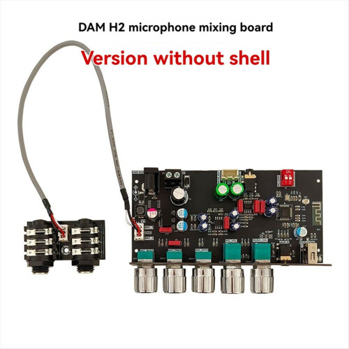 DAM H2 Karaoke Reverberation Board Isolated Low Noise Pre-Stage Effector Microphone Bluetooth USB Disk Decoder,B 1