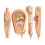 Multi Color Plastic Correction Tape Bundle Easy Glides-Kapibala 1