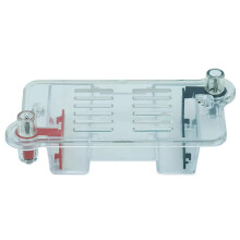 Teaching Electrophoresis Apparatus Biology Lab Teaching
