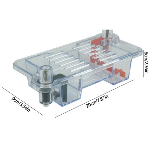 Teaching Electrophoresis Apparatus Biology Lab Teaching 2
