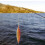 Angler's Ace: Μεταλλικό δόλωμα με αεροδυναμικό σώμα, εξαιρετικά λαμπερά πλάνα και αργή 6