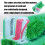 Realistic PVC Leaf Structure Anatomy Model Professional Plant 4