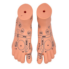 Professional Infant Massage Training Model With-Foot model