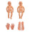 Professional Infant Massage Training Model With-Foot model 3
