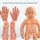 Professional Infant Massage Training Model With-Foot model 7
