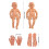 Professional Infant Massage Training Model With-Foot model 5