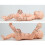 Professional Infant Massage Training Model With-Foot model 4