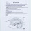Human Brain Model Teaching Tool Hemisphere Human Brain Structure 2