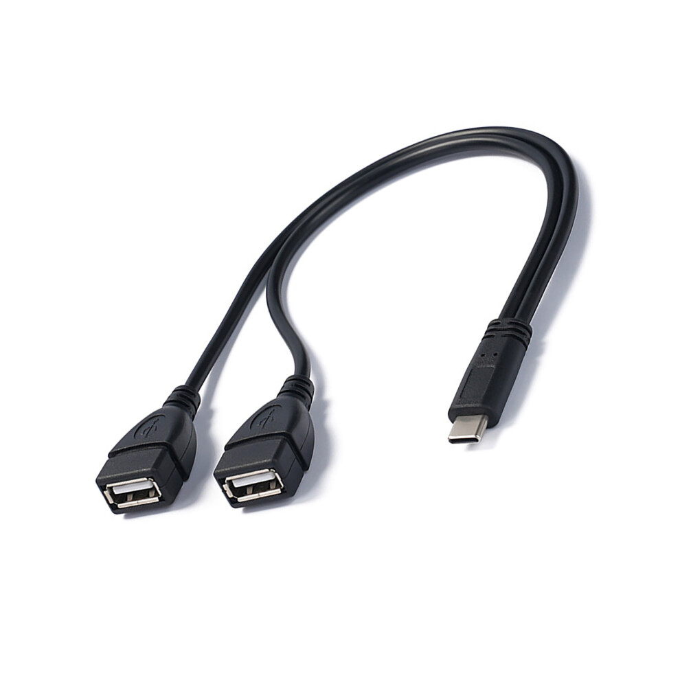 30Cm Type C To Double Usb Converter Adapter Cord-Type C Male 7709000257751