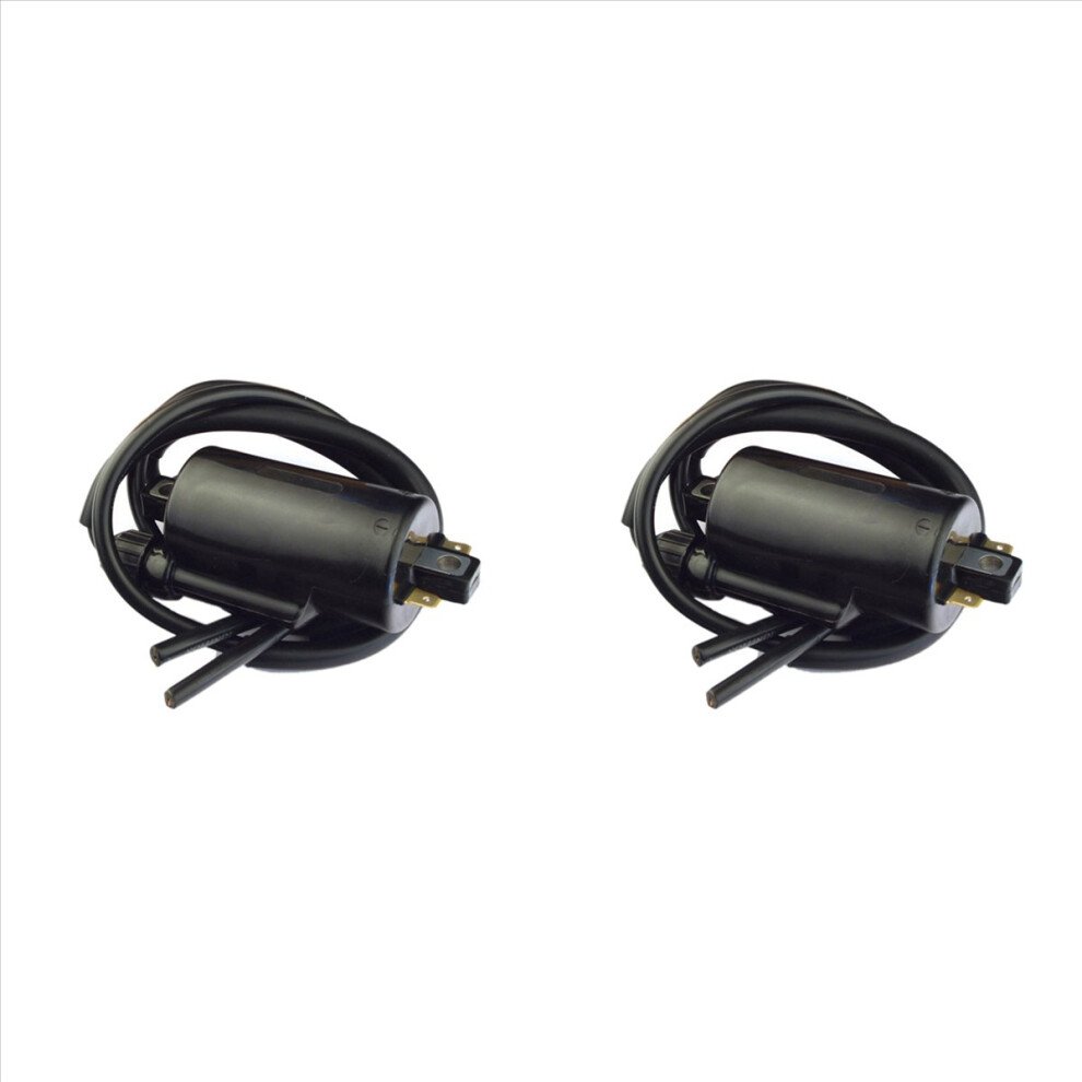 2X Ignition Coil For Kz1000 Kz1100 Kz1300 Kz500 Kz550 Kz650 Kz750 Z400 For Cb1000c Cb1100f Cb650 Cb650c 4853316760818