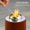 Electric fireplace heater 2