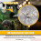 6Pcs G40 Led Replacement Light Bulbs, E12 Screw Base Shatterproof LED Globe Bulbs for Solar String Lights Warm White 5