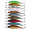 40 Stück Köder mit Innenfärbung, schwimmende Angelköder, Bass-Crankbaits, 6 cm 2