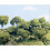 Woodland Scenics Μεγάλο Σετ Δέντρων Μετάλλου 5 1/2 - 6 1/2 1