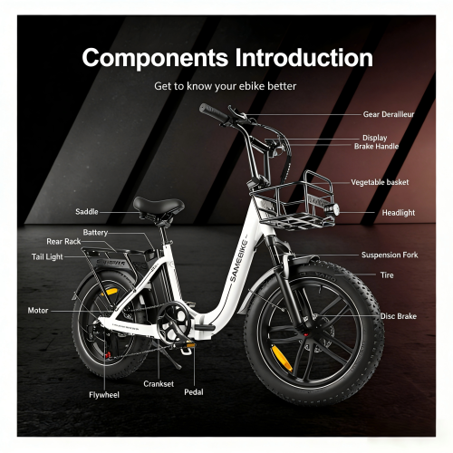SameBike SAMEBIKE C05Pro Step-Through EBike 13Ah,deep blue 2