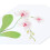 Papyrus Blankokarte fr Sie (Orchidee) 5