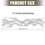 4Inch Acrylic Quilting Rulers Wavy Quilting Patchwork Templates 3