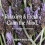 Dr Bronner Org Lavender Castile Liquid Soap 237ml 5