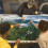 Ravensburger Ravensburger - Hawaiian Viewpoint - Puzzle da 5000 Pezzi - Vista di un Paradiso Tropicale 3