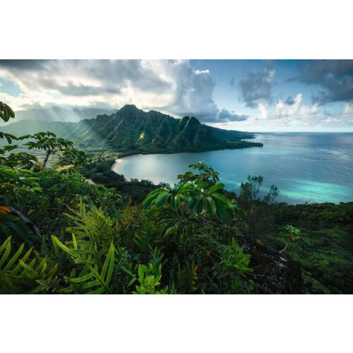 Ravensburger Ravensburger - Hawaiian Viewpoint - Puzzle da 5000 Pezzi - Vista di un Paradiso Tropicale 1
