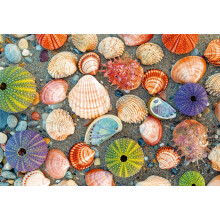 Ravensburger Moment: 300 stukjes Legpuzzel aan Zee voor Volwassenen - 12001326 - Handgemaakt Gereedschap, Made in Germany
