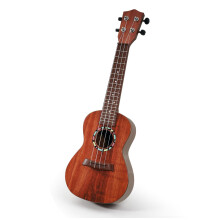 Raimy Kids Ukulele - 21in Speelgoed Gitaar voor Kinderen van 3 tot 7 Jaar