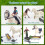 Set Gioco Stalla per Cavalli TUSAUW, Regalo Compleanno Bambini con 2 Cavalli e 2 Cavalieri 3