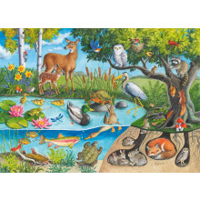 Ravensburger Animals Above and Below - 60 Piece Jigsaw Puzzle for Kids | Explore Natures Layers | Promotes Problem Solving Skills | FSC-Certified Mate